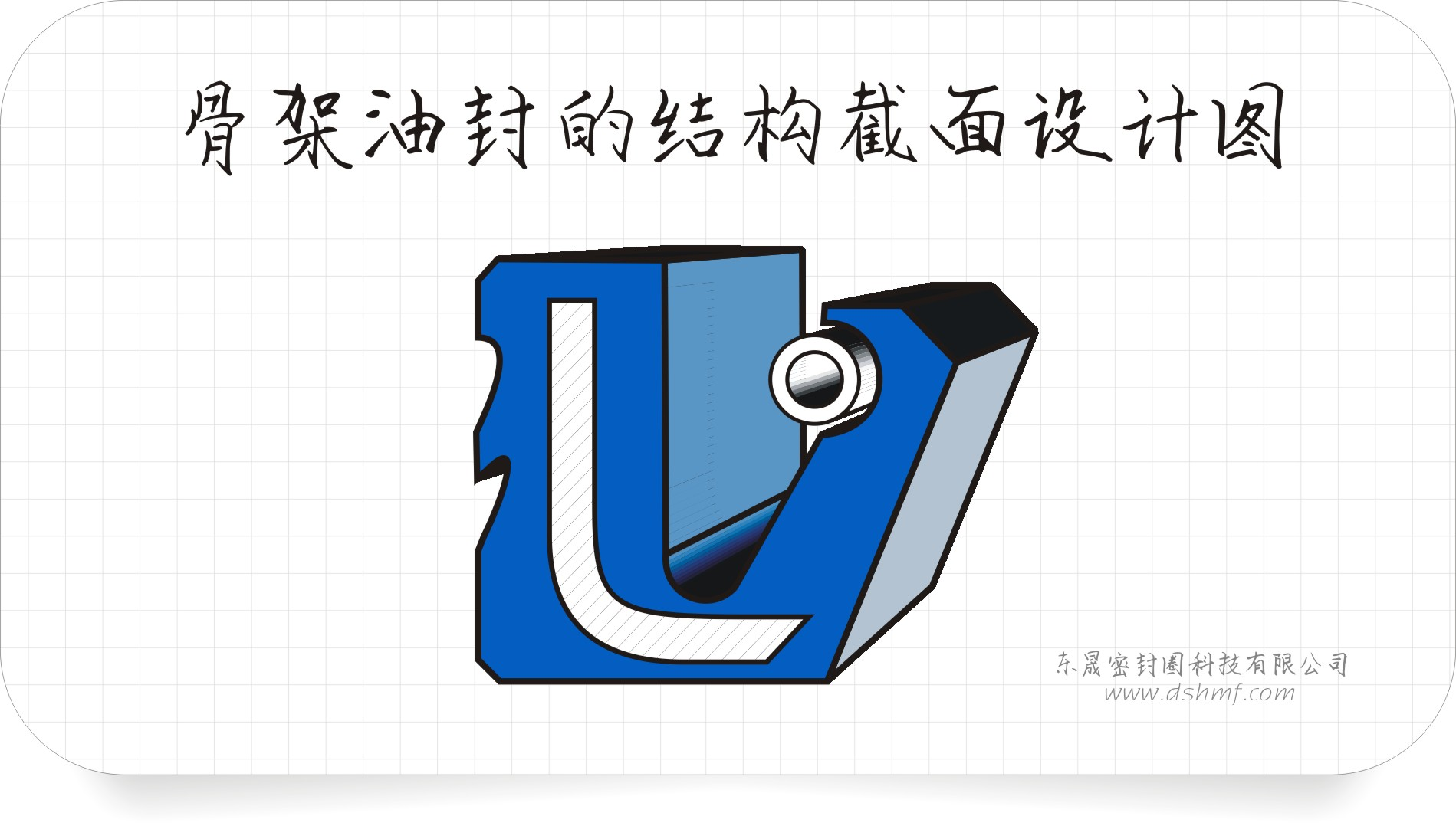 油封截面设计3D立体图2 油封截面设计3D立体图2