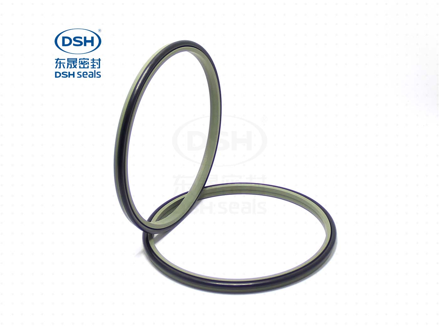 防尘油封DSZ