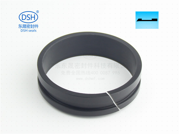 轴用带刮唇导向环DFAI 导向套 (1).JPG